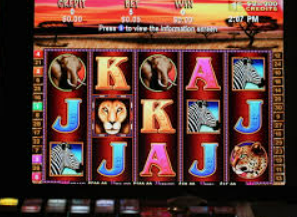 333体育官网下载最新版